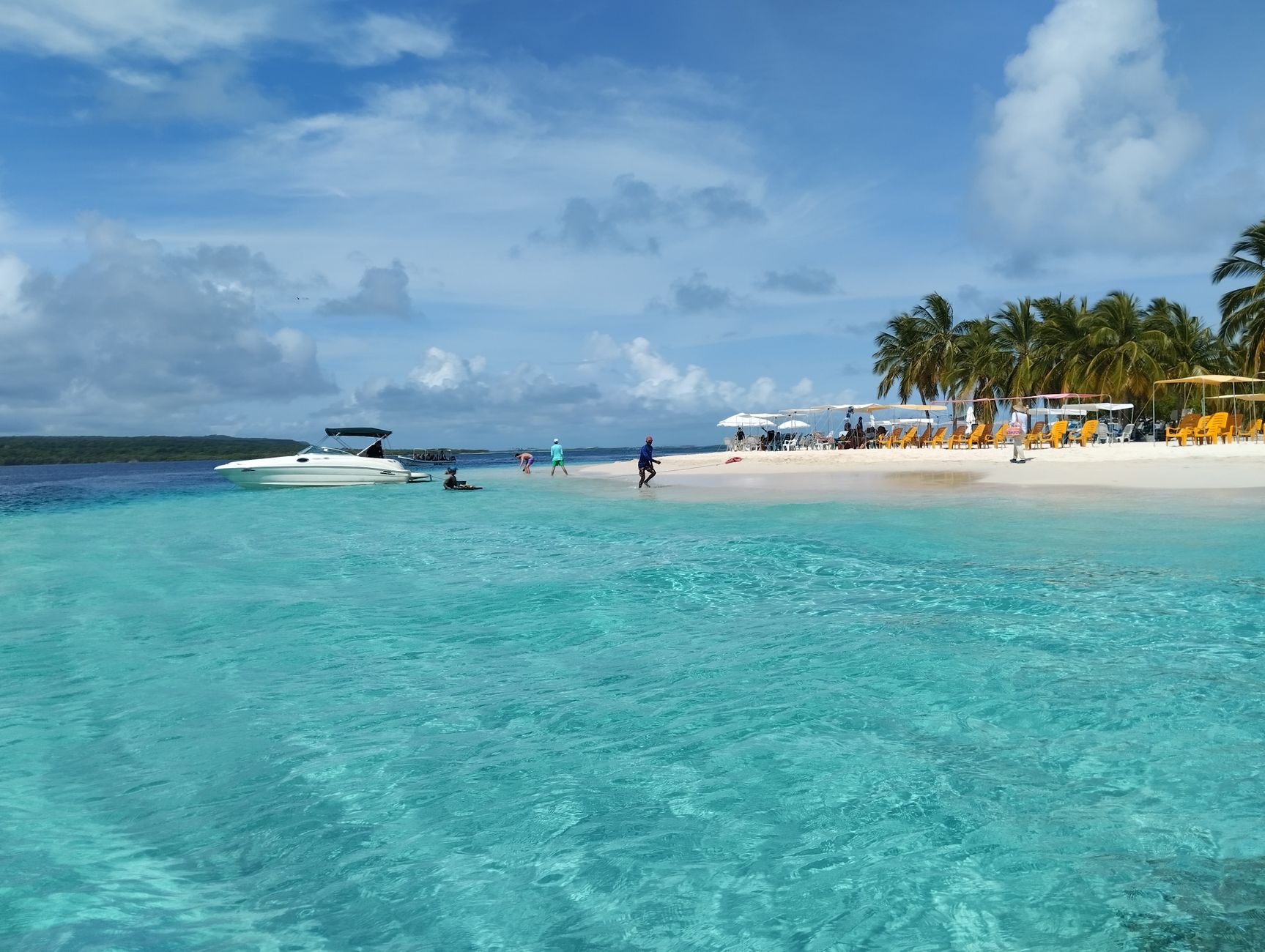 Stunning tropical beach scene with clear blue waters and palm trees in Venezuela.
