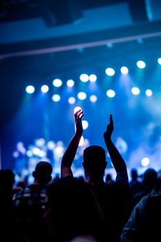 Silhouette of a person enjoying a live music concert with vibrant stage lighting.
