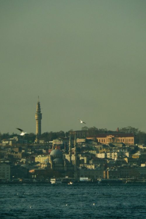 Free şehrin silüeti Stock Photo
