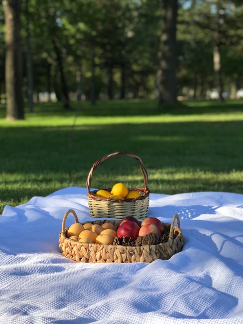 Idyllic picnic setting with baskets of fresh fruits on a blanket in a sunny park.