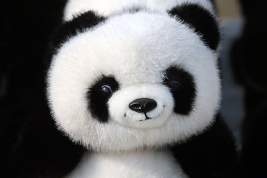 Close-up of a cute and fluffy panda plush toy, perfect for children and collectors.