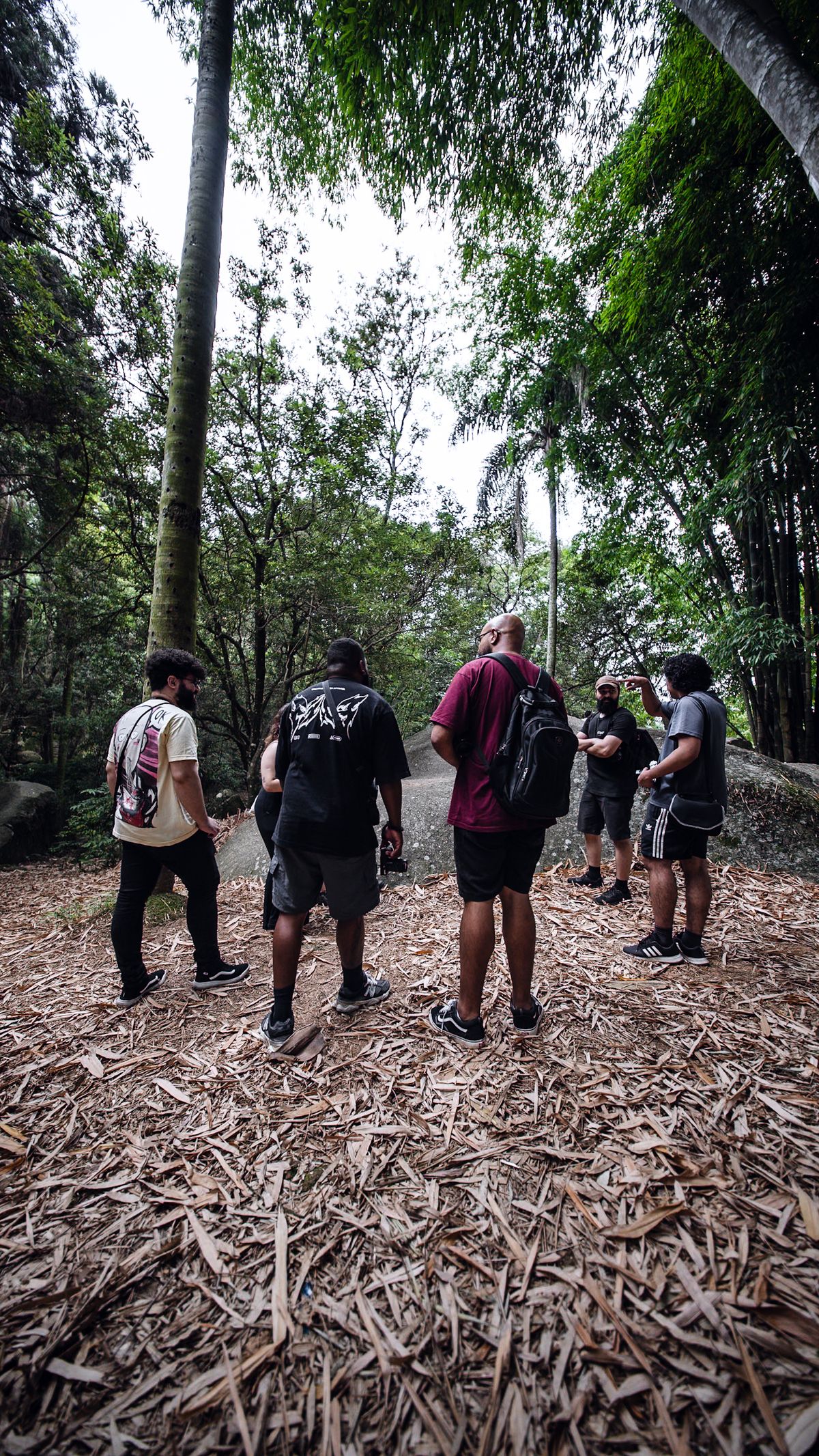 Group of friends hiking together on a forest trail