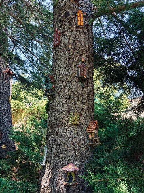 Free Fairy houses attached to tree trunk in lush park, Ivanhoe, VIC, Australia. Stock Photo