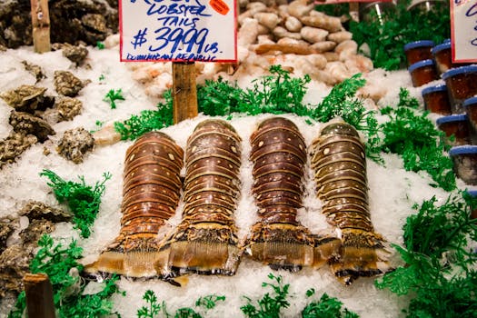 Lobster, tail only, frozen, wild caught