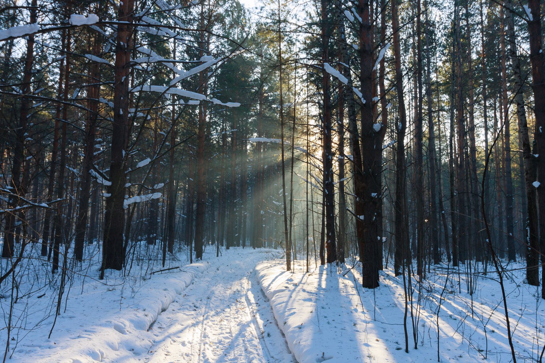 Winterlichtwandeling
