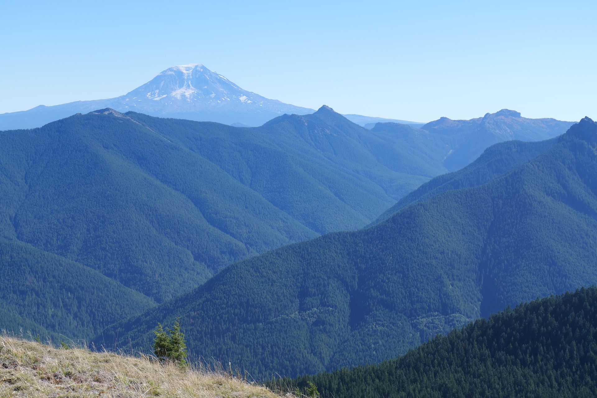 A beautiful view of Mount Adams surrounded by lush green hills under a clear sky.