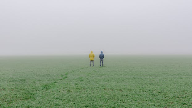 雾气弥漫的草地上站着两个穿着连帽夹克的人
