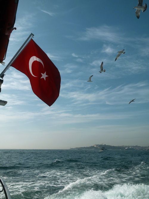 Free Turkish flag flutters aboard a boat with seagulls flying over the Bosphorus on a clear day. Stock Photo
