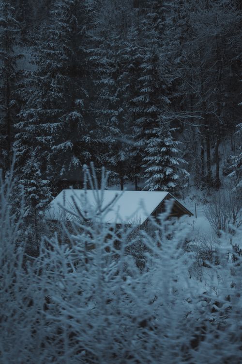 Free A tranquil and mysterious winter scene featuring a secluded cabin surrounded by snow and dense forest. Stock Photo