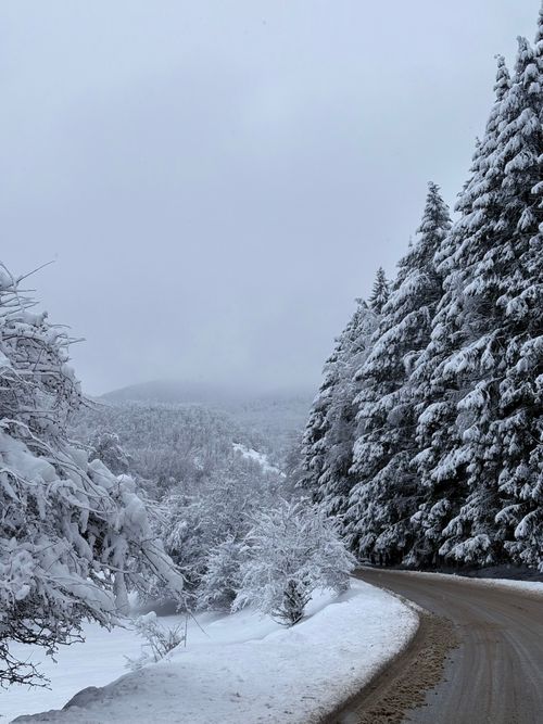 Free Serene winter road through snow-covered forest in Bulgaria, perfect for adventure seekers. Stock Photo