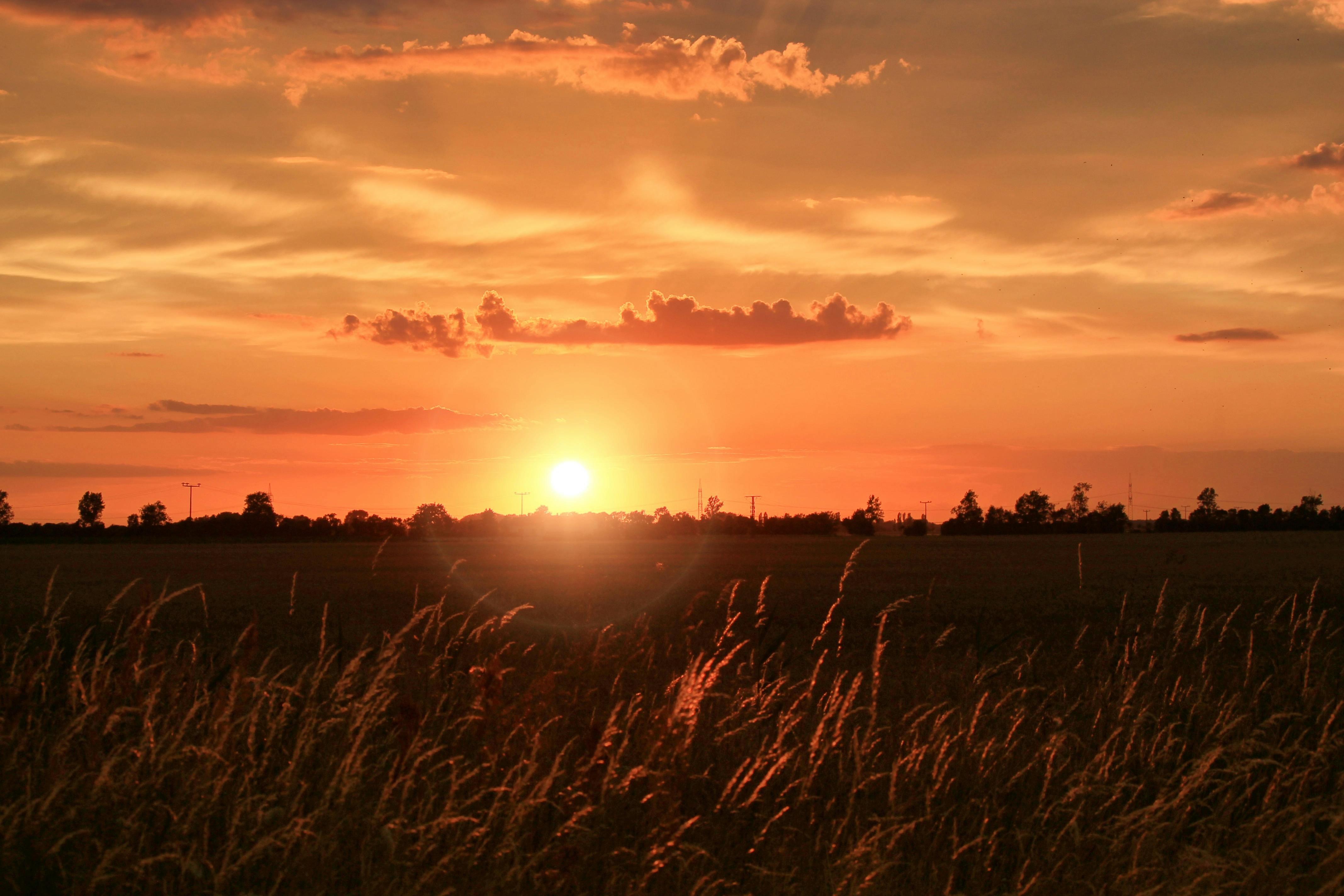 Kostenloses Foto zum Thema: abend, abendrot, abendstimmung