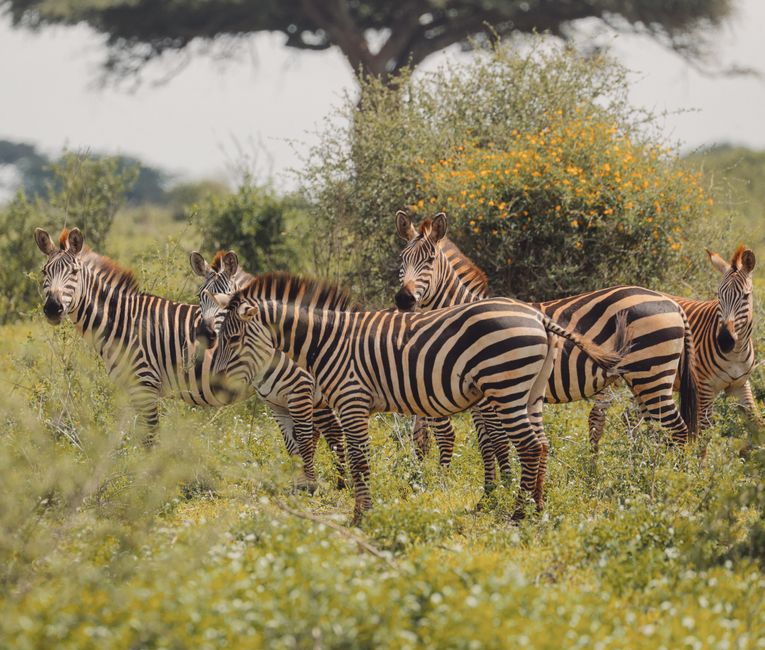 Mvomero, Tanzania - travel photo