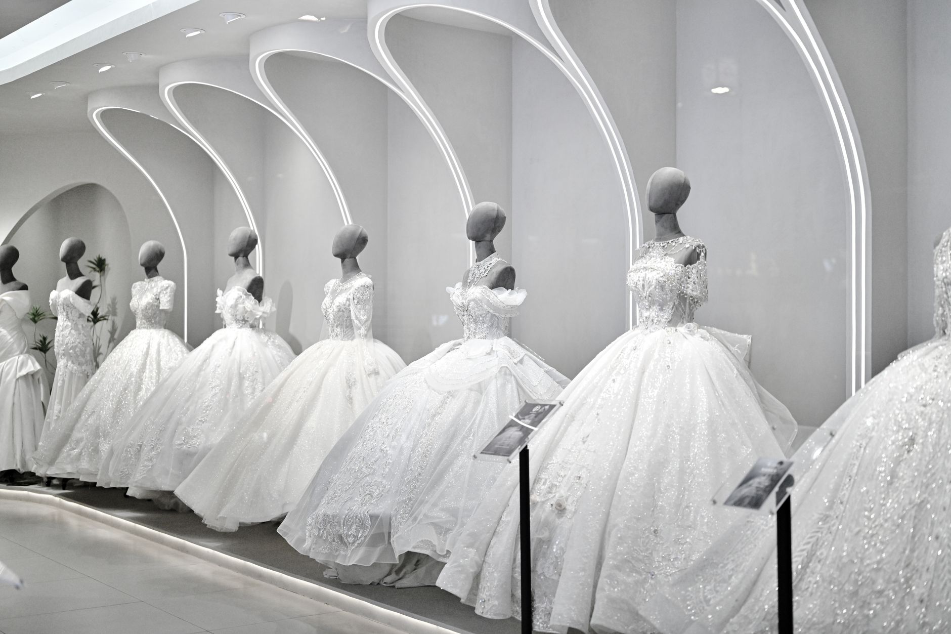 What to Expect at Your First Bridal Appointment