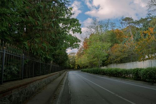Free Serene tree-lined street in Istanbul, showcasing vibrant autumn foliage. Stock Photo