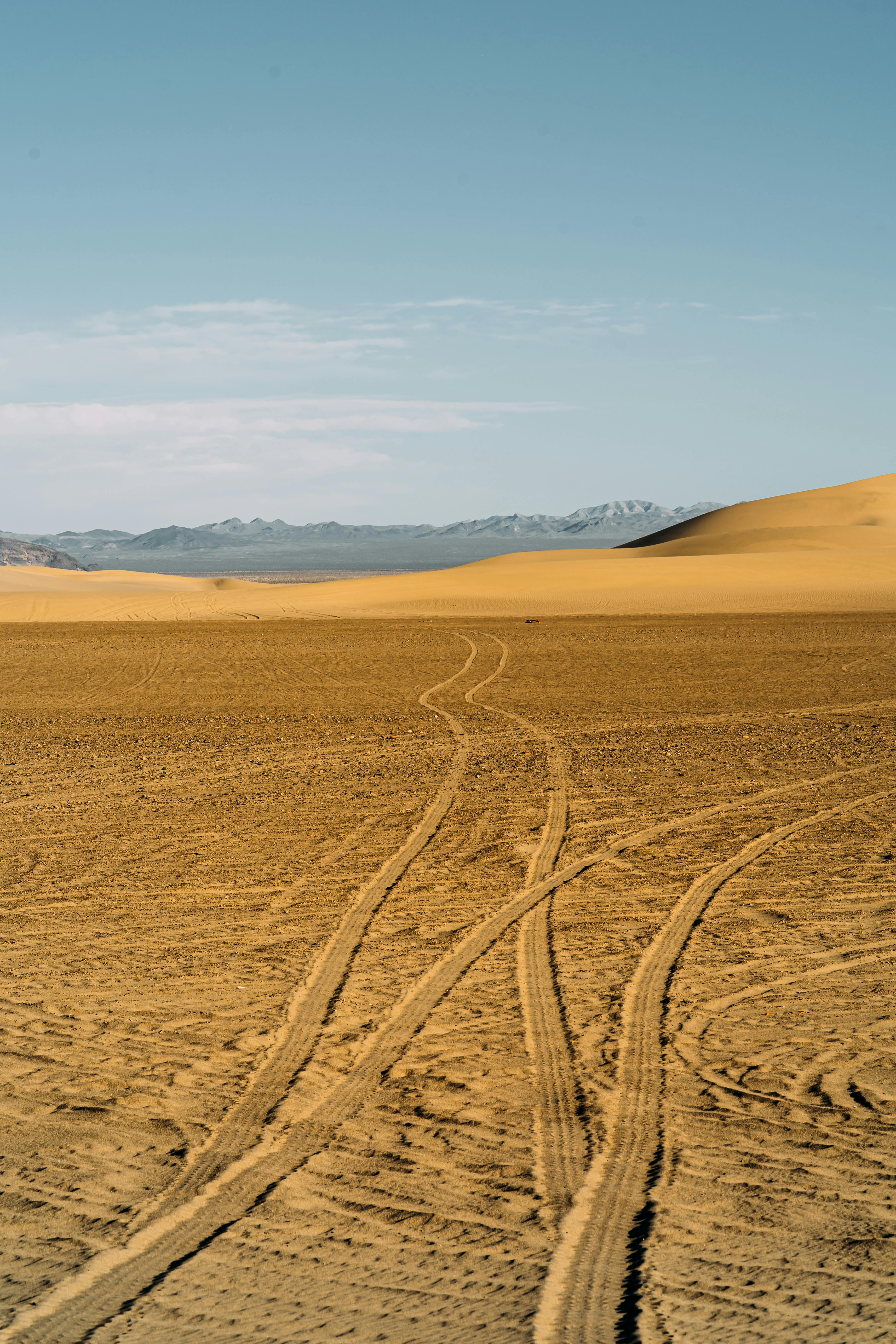 广阔的沙漠景观中，轮胎痕迹纵横交错，沙丘绵延起伏，远处山脉在湛蓝的天空下若隐若现