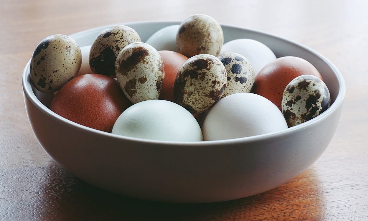 Free Quail Eggs And White Eggs On A Bowl Stock Photo