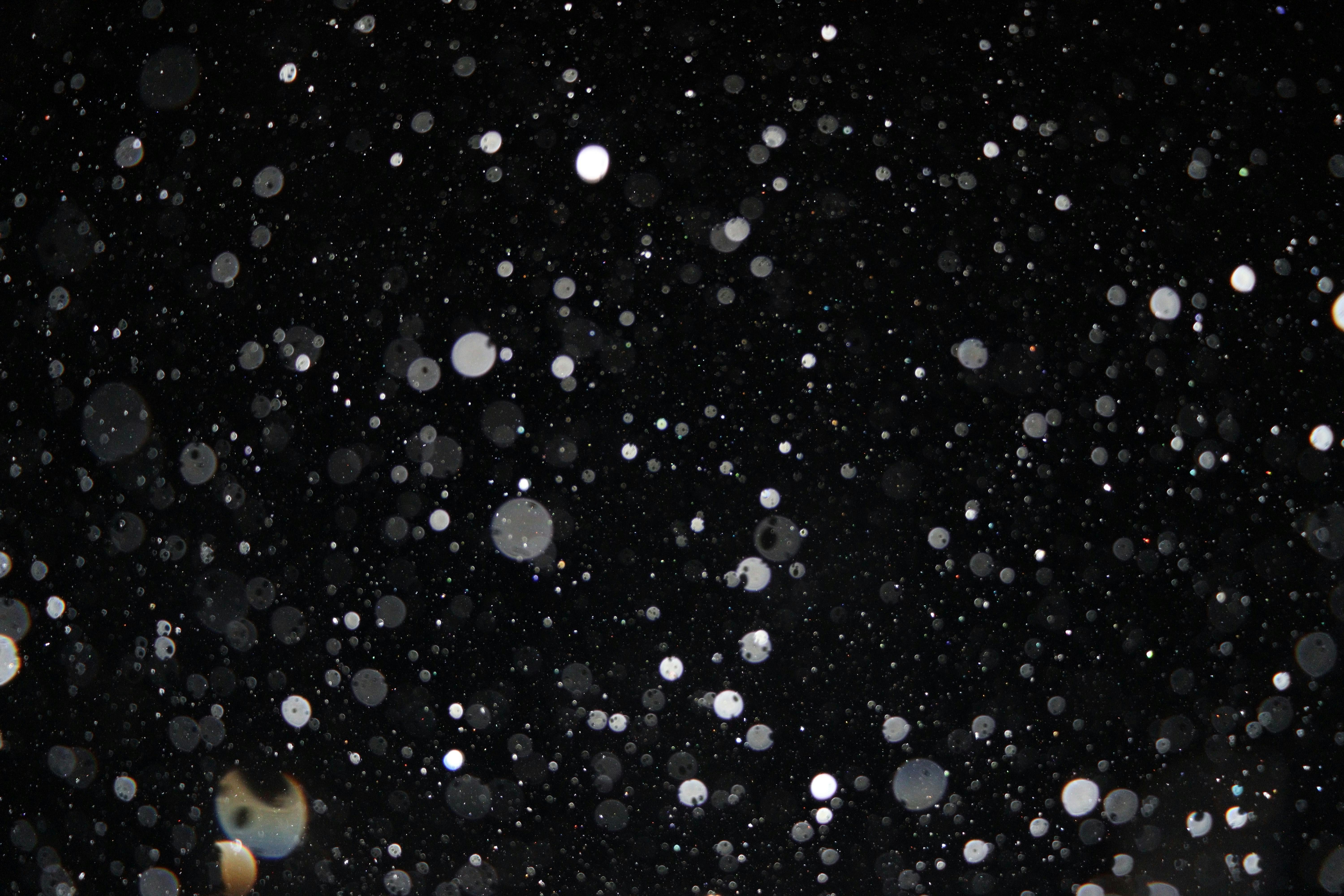 Captivating image of white snowflakes falling against a dark night sky.