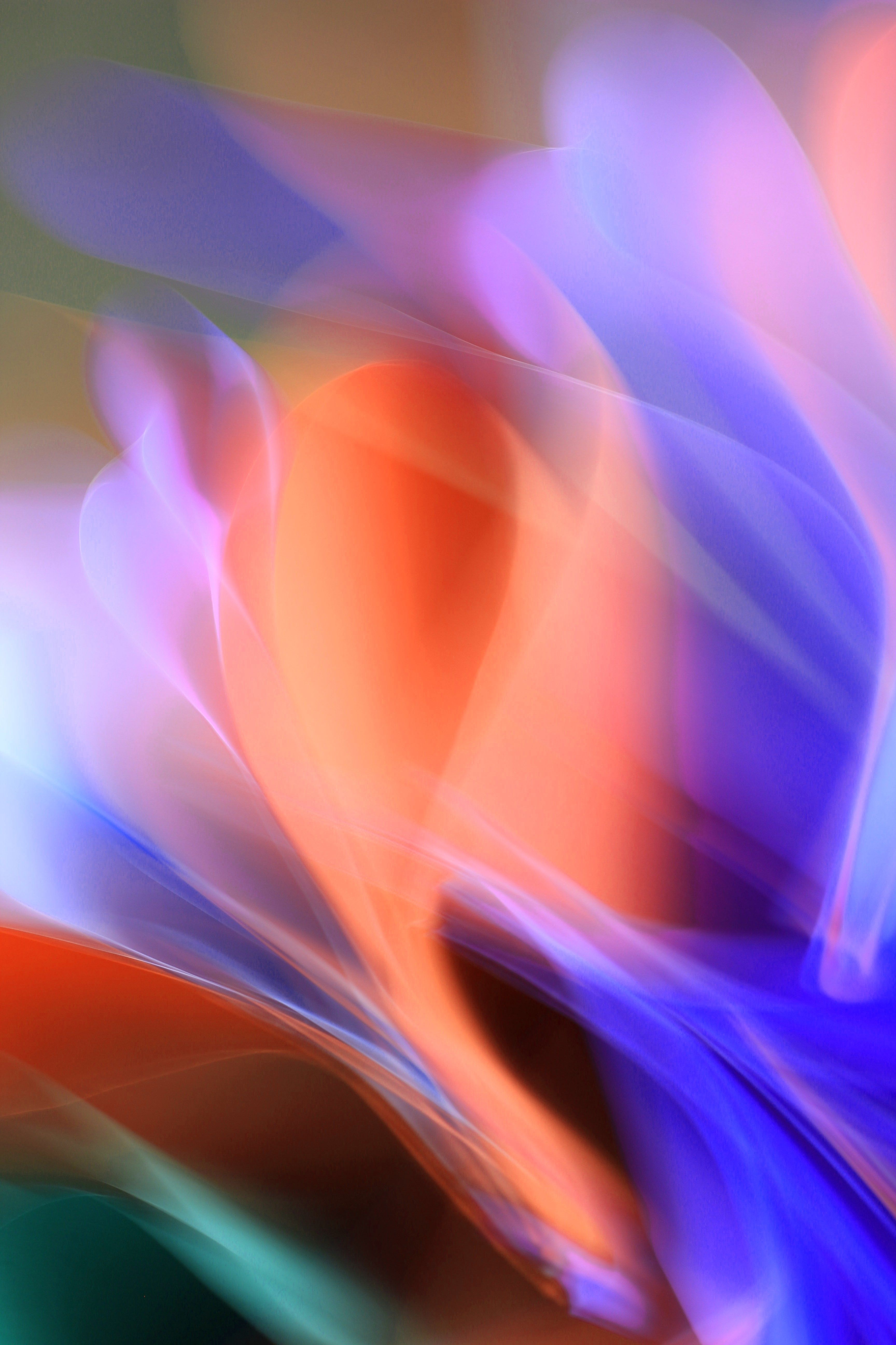 Colorful Abstract Light Waves in Motion · Free Stock Photo