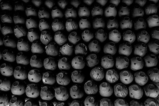 Monochrome display of handcrafted ceramic pots showcasing traditional artistry.