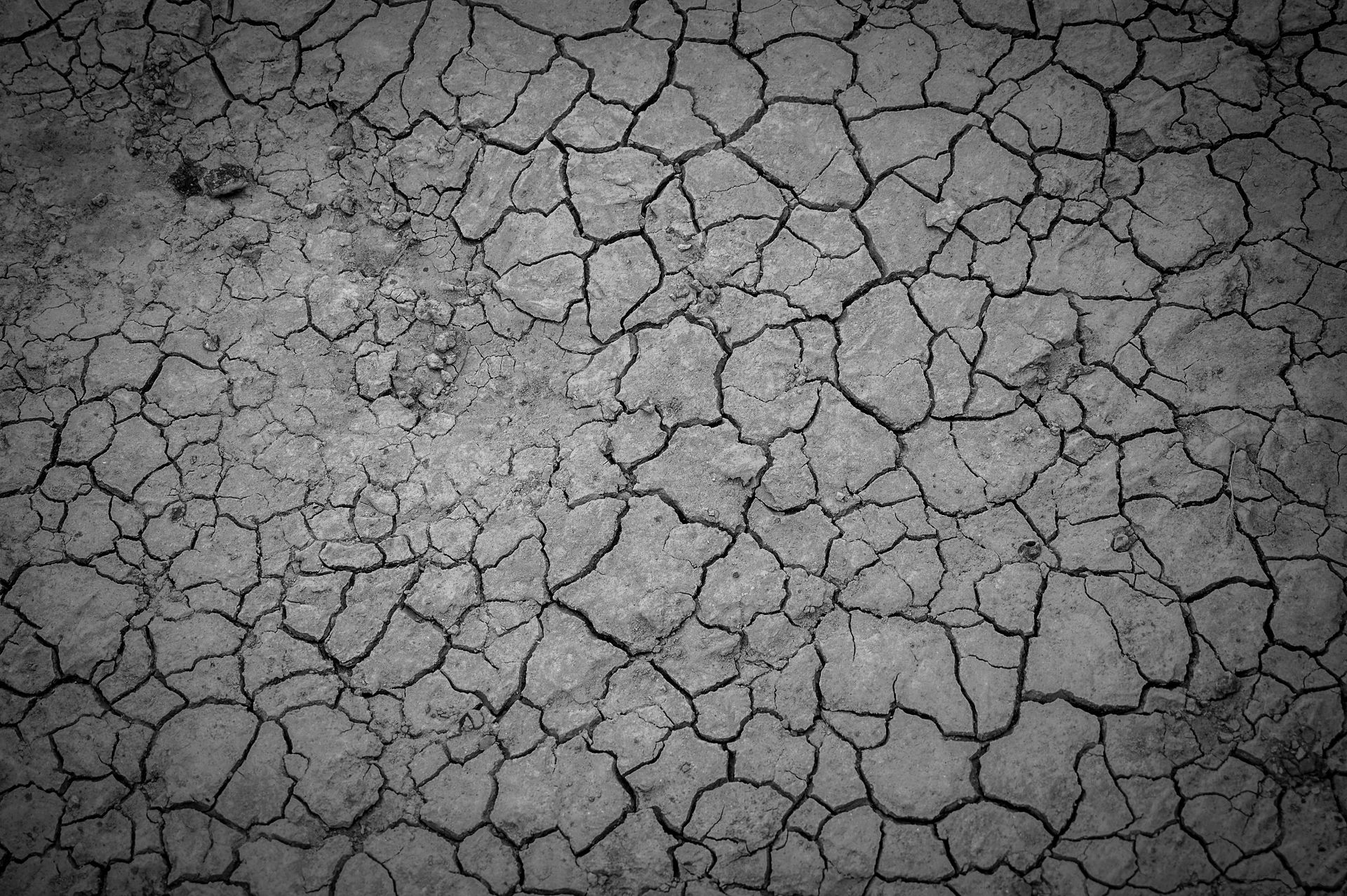 Close-up of cracked, dry earth highlighting texture and natural pattern.
