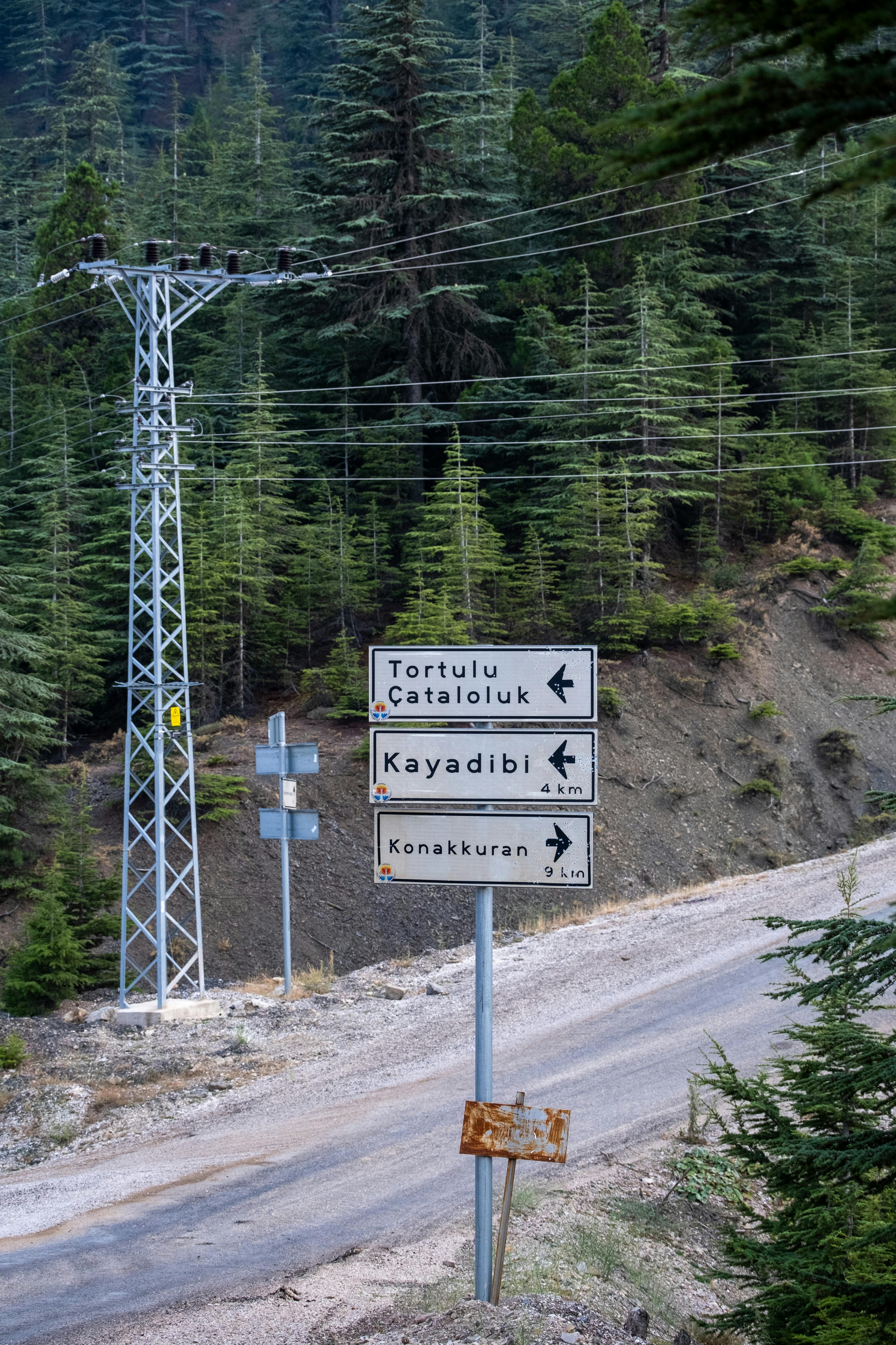 Signpost in forested mountain area with directions to nearby locations.