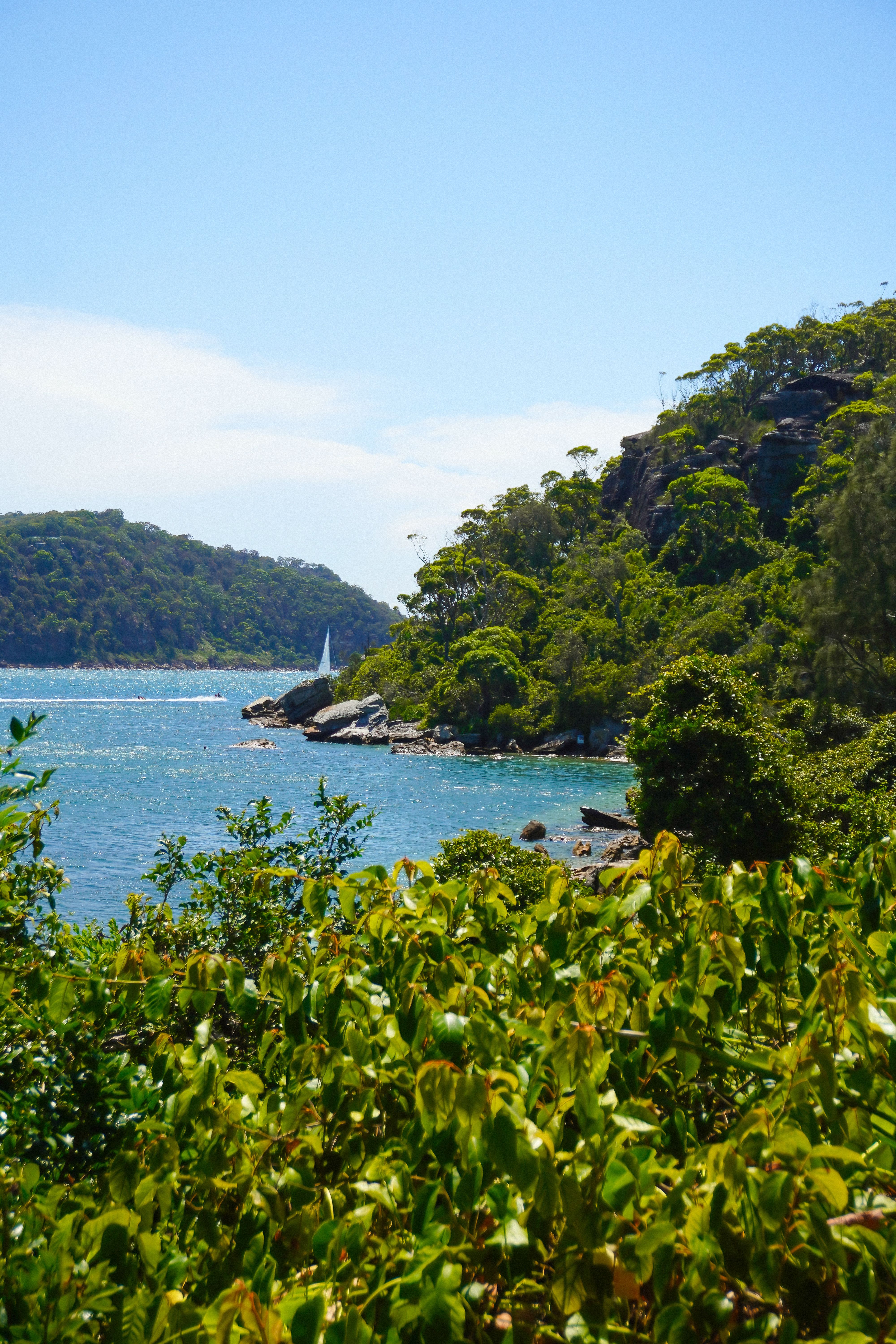 Scenic Coastal View with Lush Greenery and Sailboat · Free Stock Photo