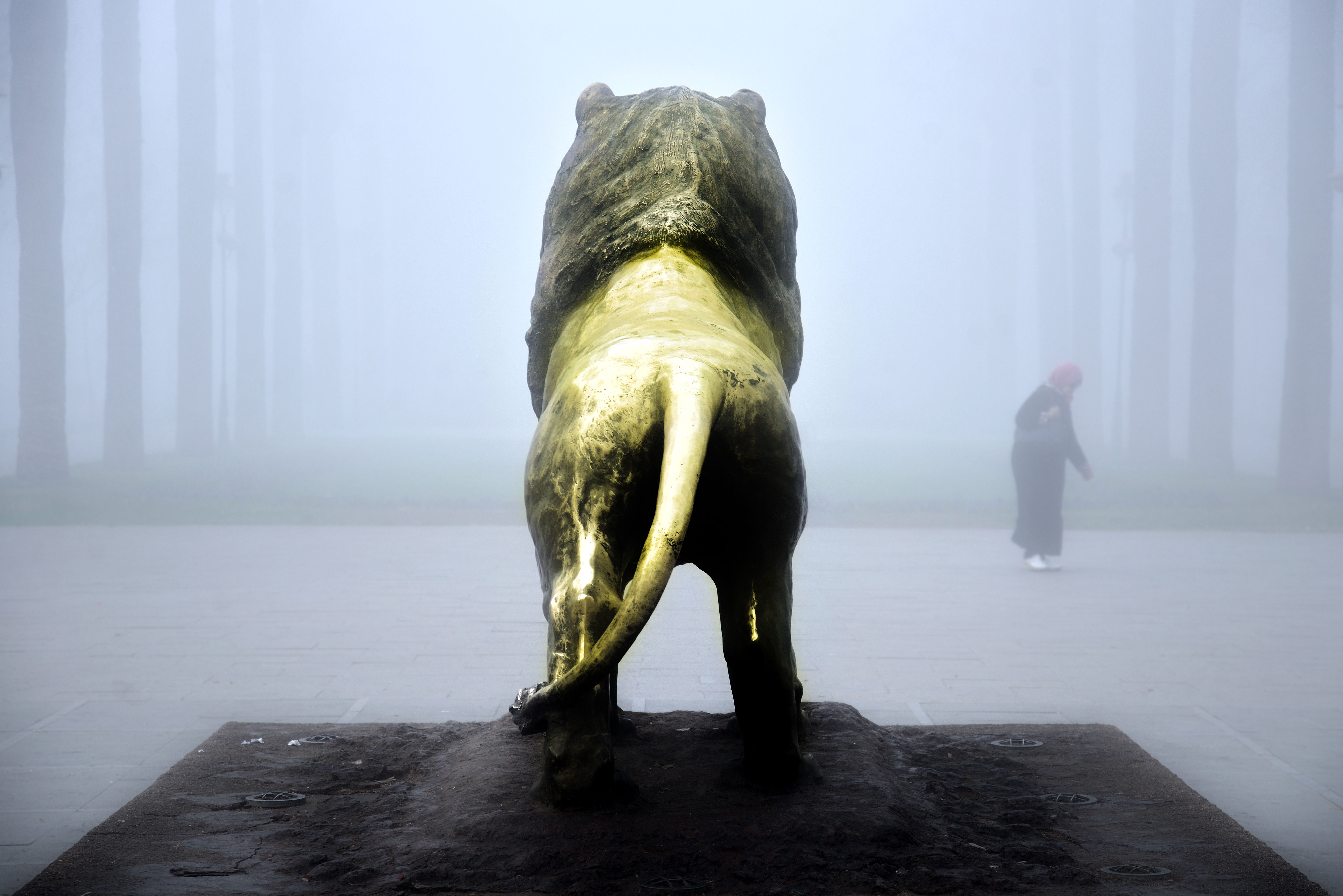 A lion statue stands shrouded in mist with a solitary figure in Fès, Morocco.