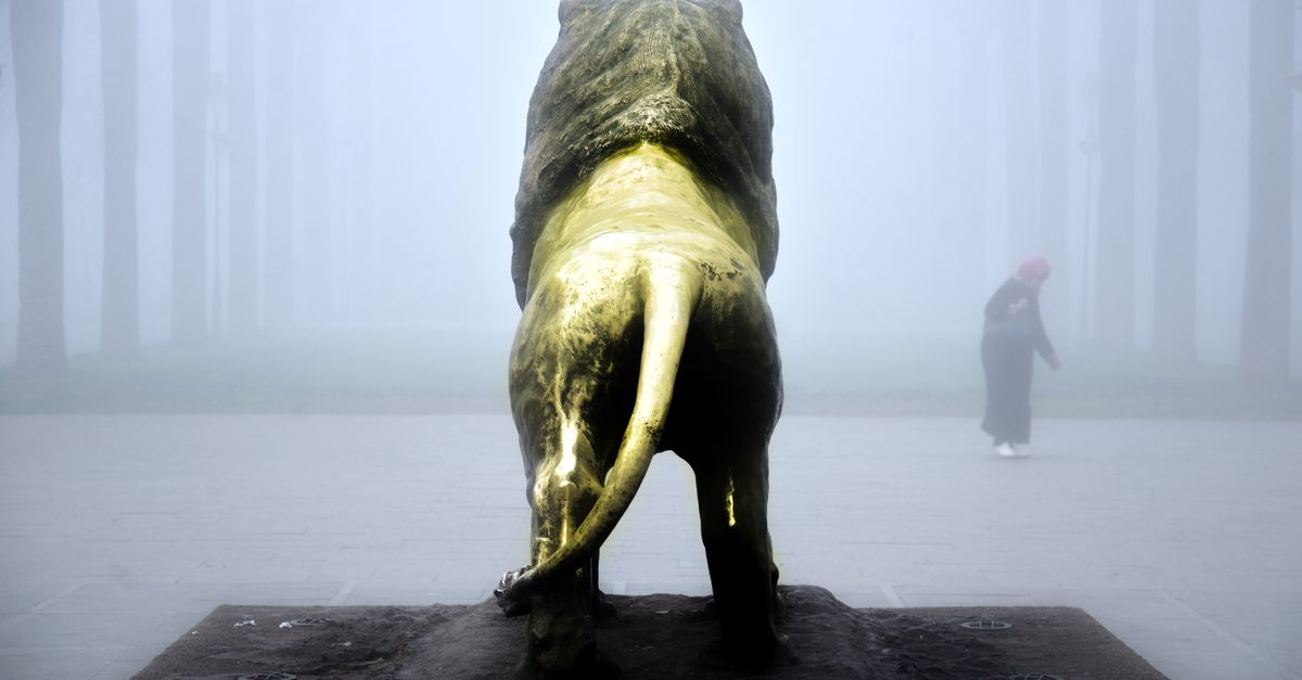 A lion statue stands shrouded in mist with a solitary figure in Fès, Morocco.