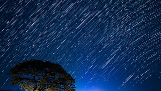 Beautiful star trails over a tree under a serene night sky in India, capturing celestial motion.