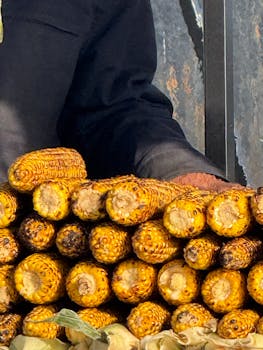 Close-up of grilled corn cobs stacked with a vendor's hand, highlighting street food.