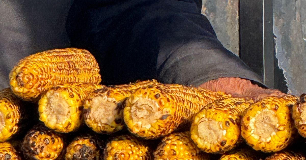 Corn Stack Grilled Corn Stacks with Vendor's Hand · Free Stock Photo