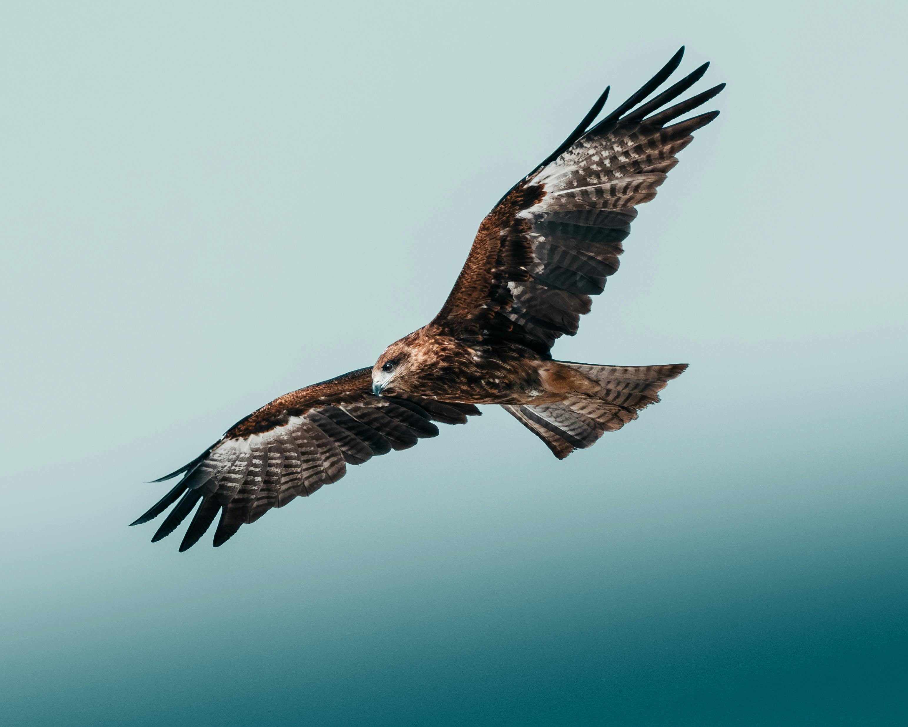 An Addict's Guide To Freedom