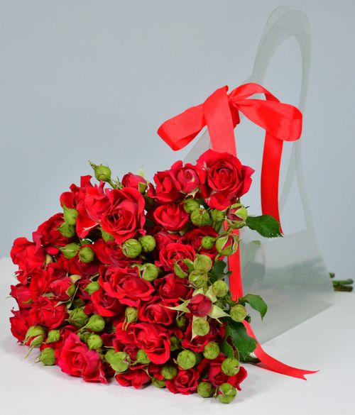 Free Beautiful red rose bouquet with a red ribbon, perfect for special occasions. Stock Photo