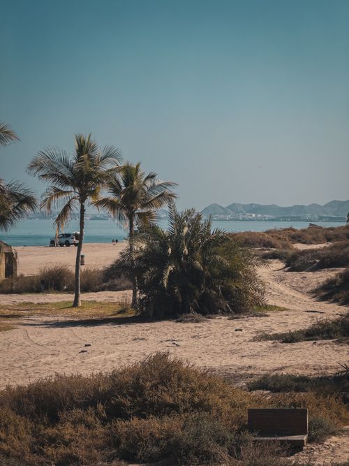 Free Scenic tropical beach with palm trees and distant mountain view under a clear blue sky. Stock Photo