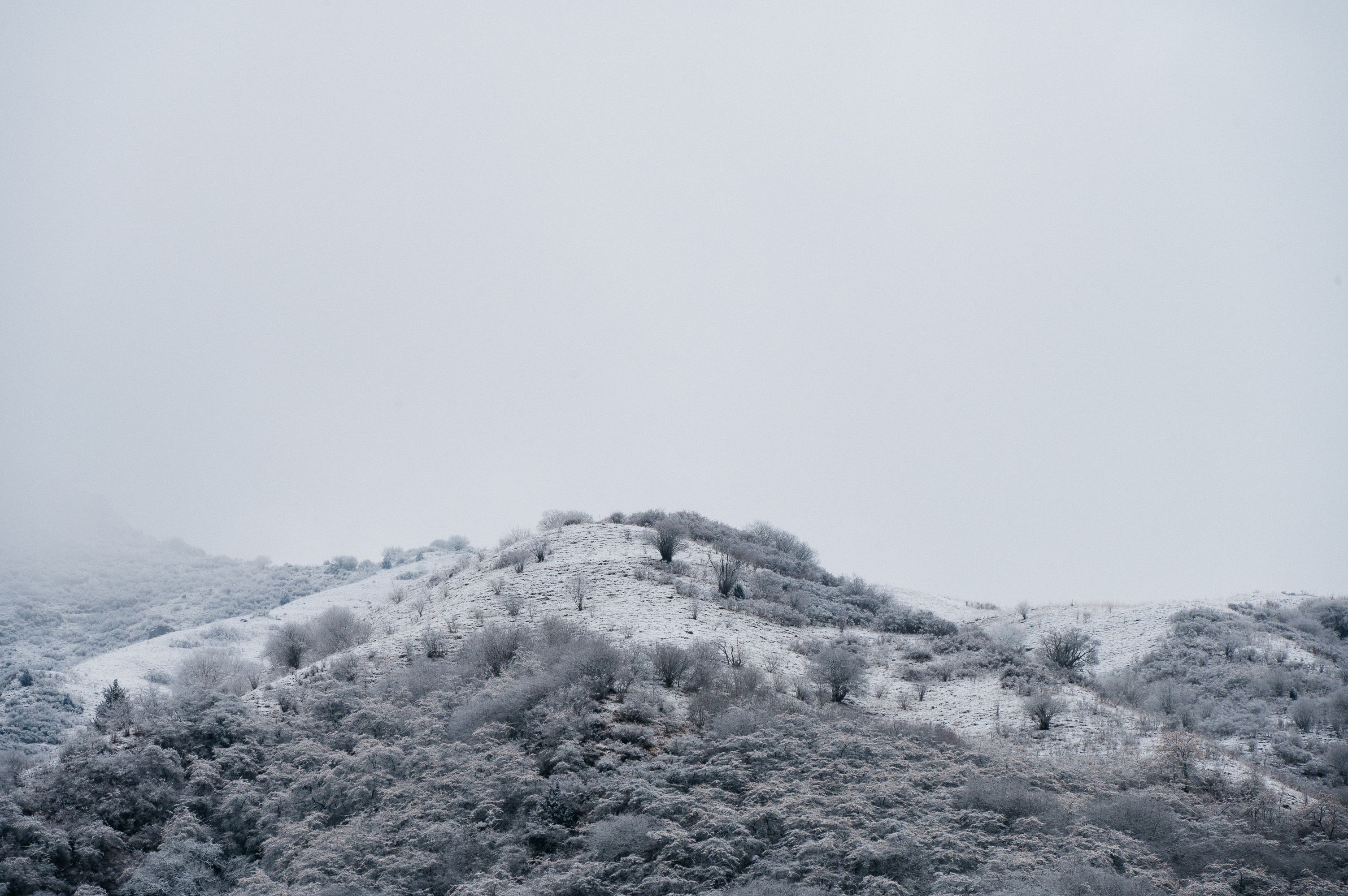 Photo by 征宇 郑 on pexels