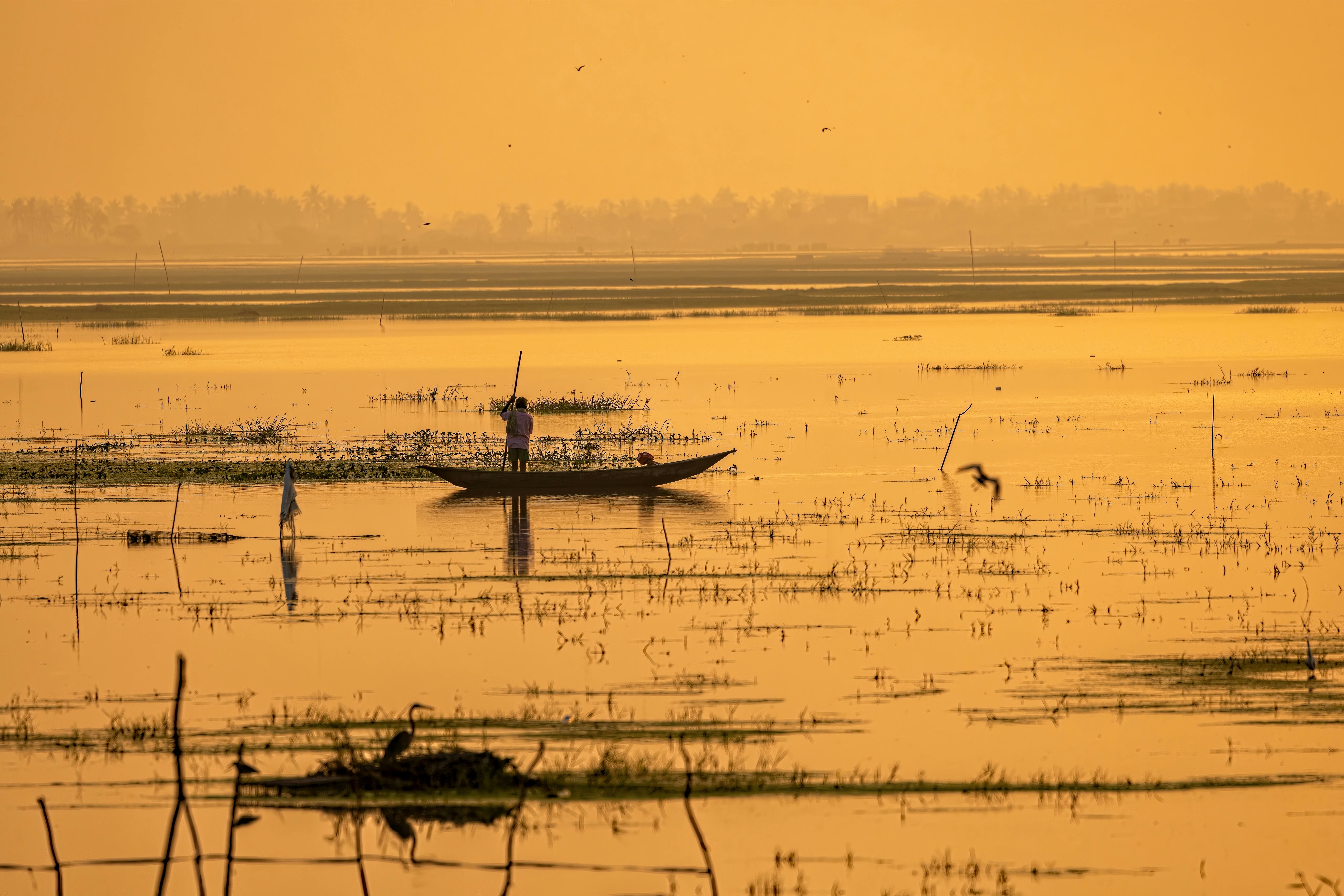 Summer travel India 2026: Top 8 budget friendly destinations to explore — Photo by Mohan Nannapaneni on Pexels