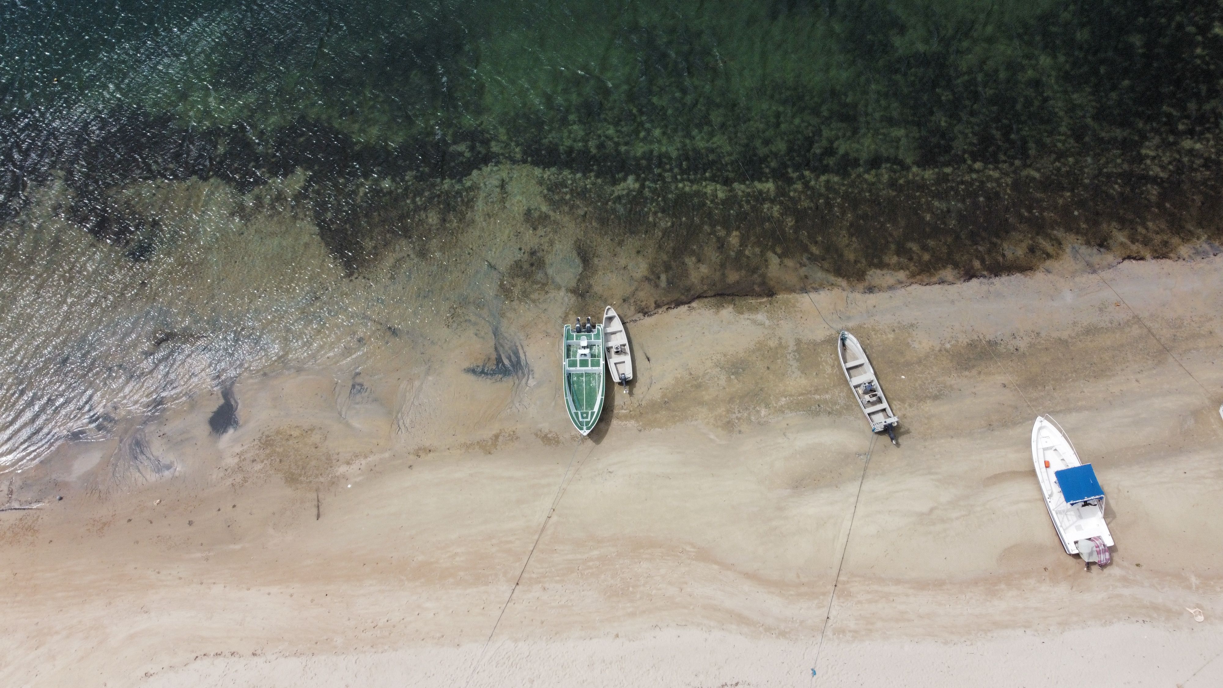 shela beach lamu kenya white sand dunes pristine indian ocean palm empty