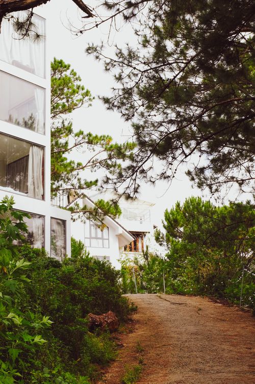 Free A beautiful house nestled in lush greenery, surrounded by pine trees on a tranquil path. Stock Photo
