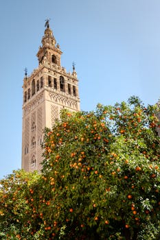 Giralda Tower rises above lush orange trees in Seville, Spain under a clear sky.