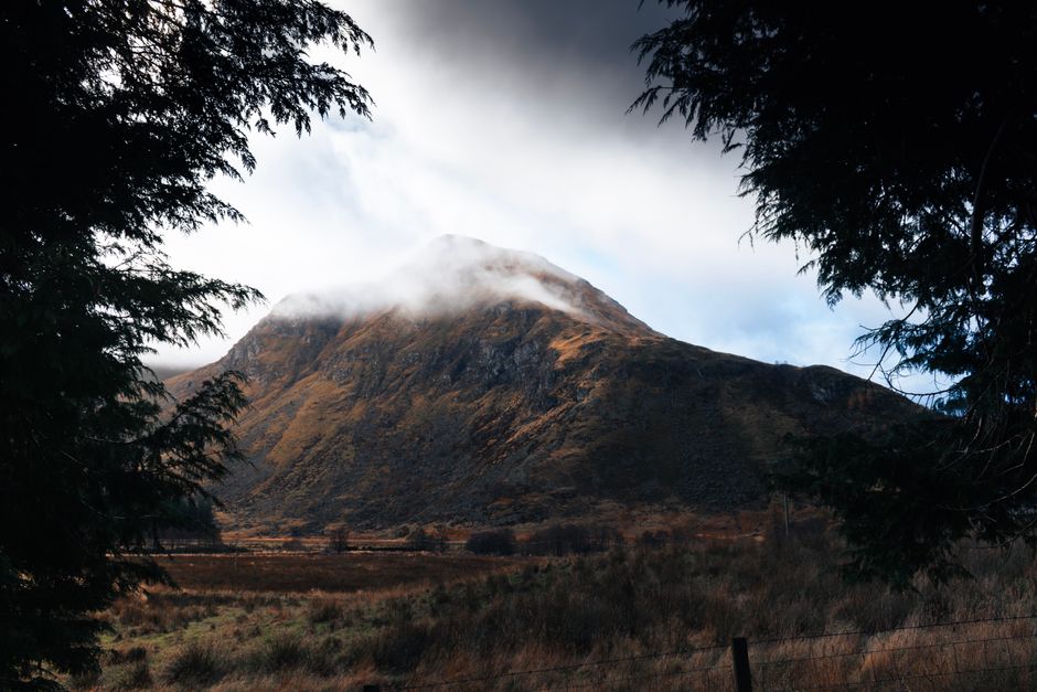 Captivating misty mountain landscape framed by trees, evoking a sense of tranquility.