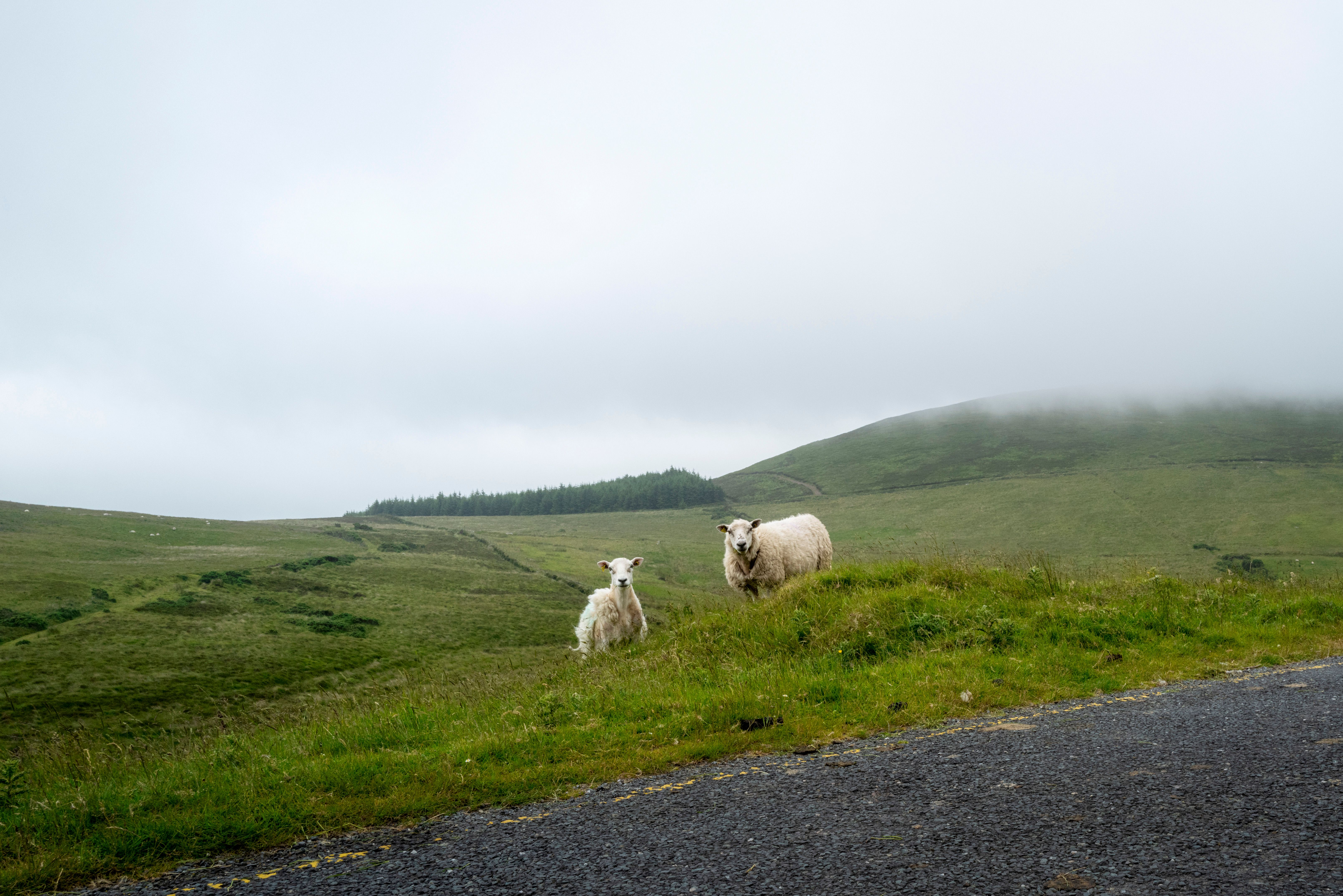 4 Day Hiking & Wellness Weekend Retreat in Ireland 1