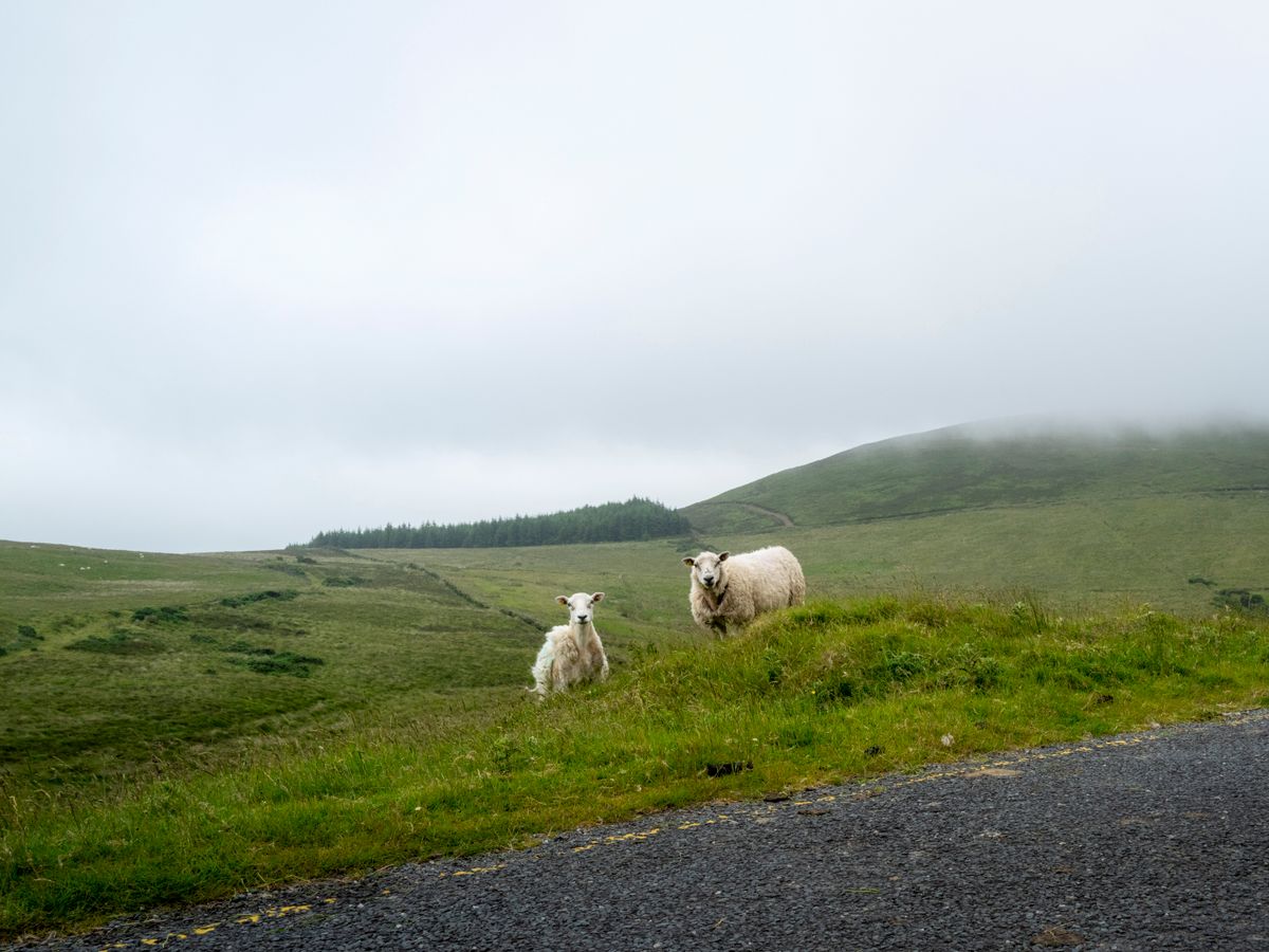 4 Day Hiking & Wellness Weekend Retreat in Ireland 1