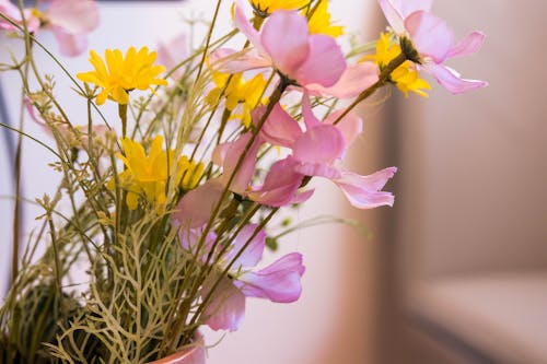 Free stock photo of apartment, artificial flowers, flowers