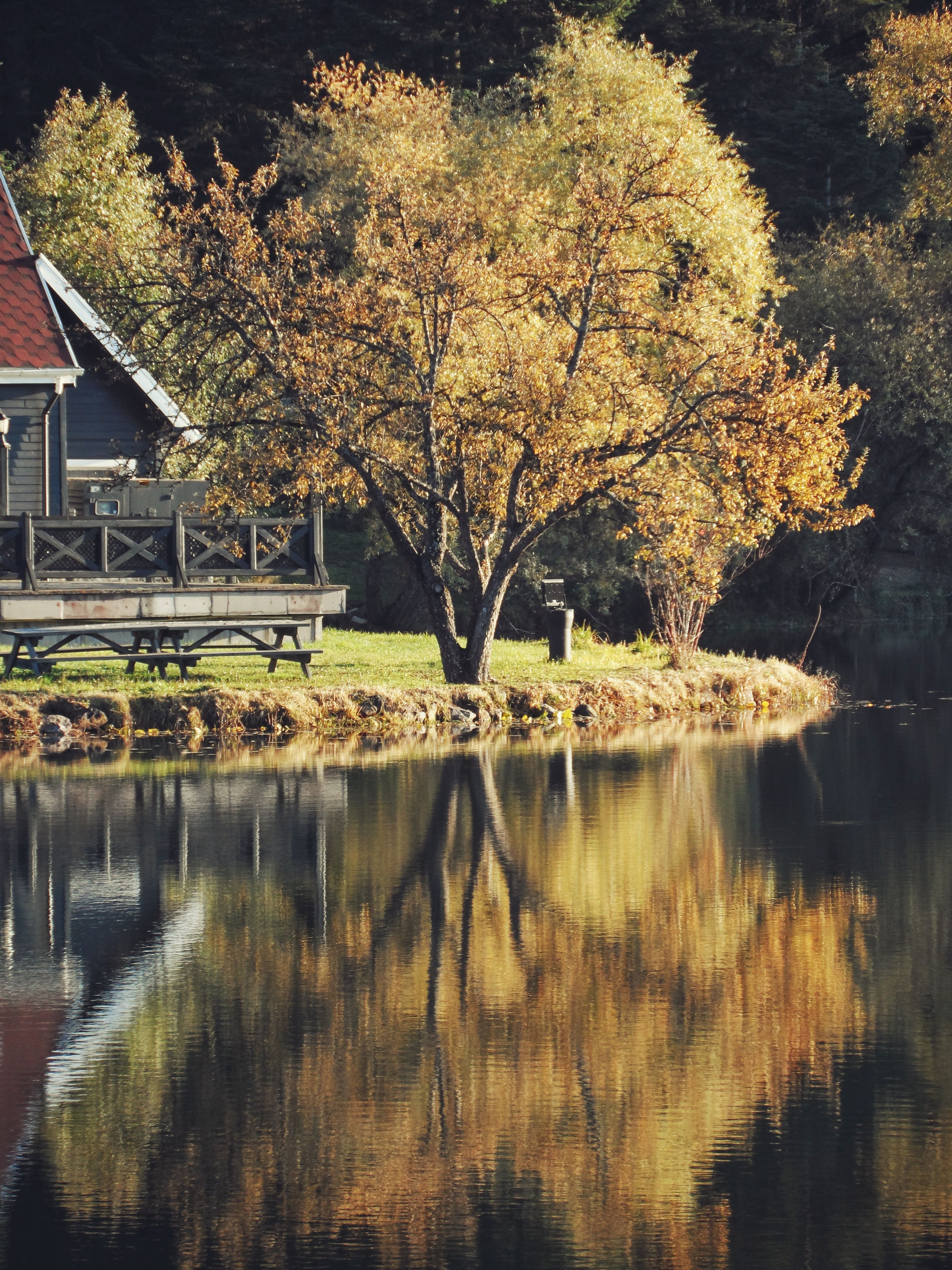 Serene Lakeside Autumn Retreat with Reflective Waters · Free Stock Photo