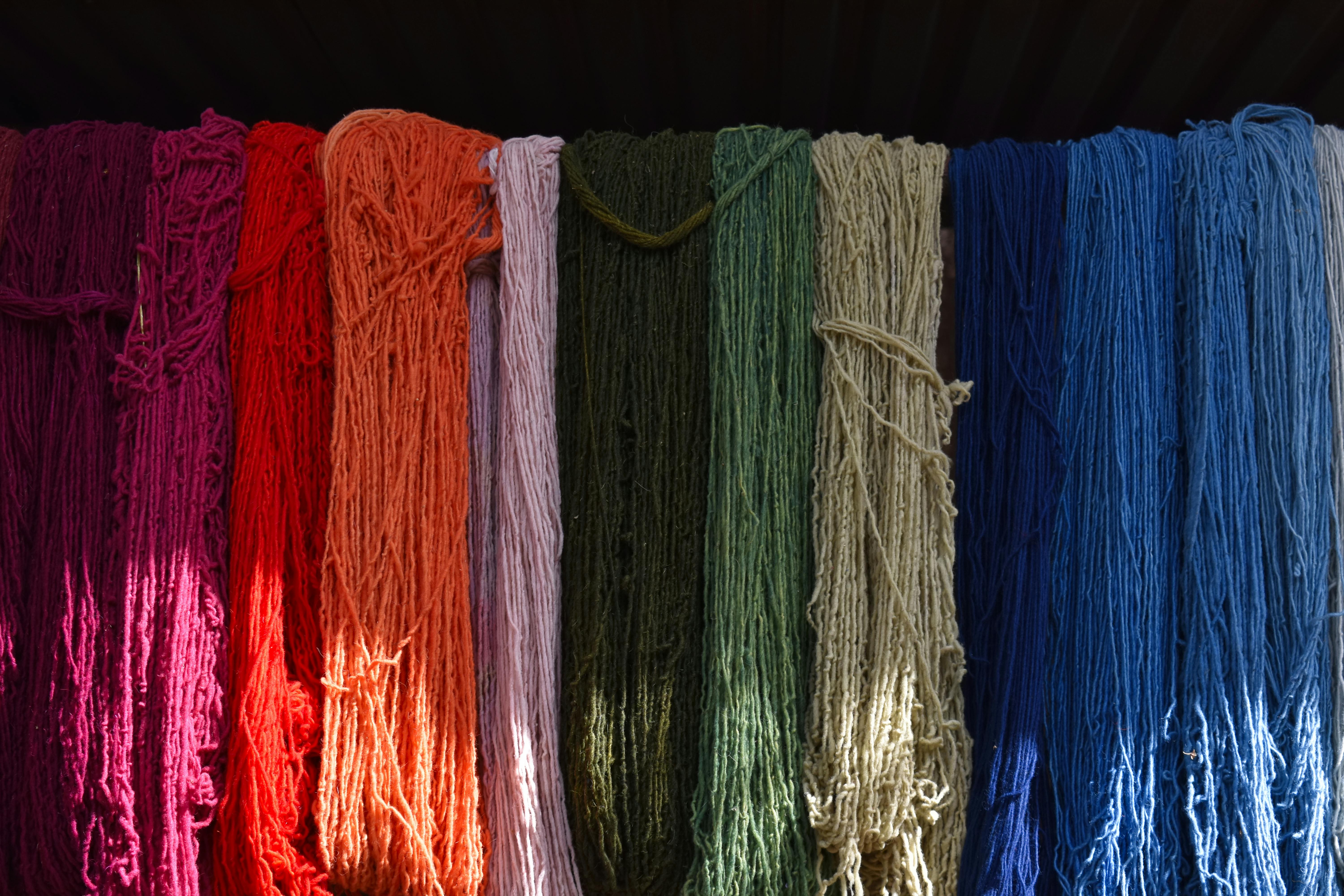 Vibrant skeins of yarn hanging in natural light, showcasing a spectrum of colors.