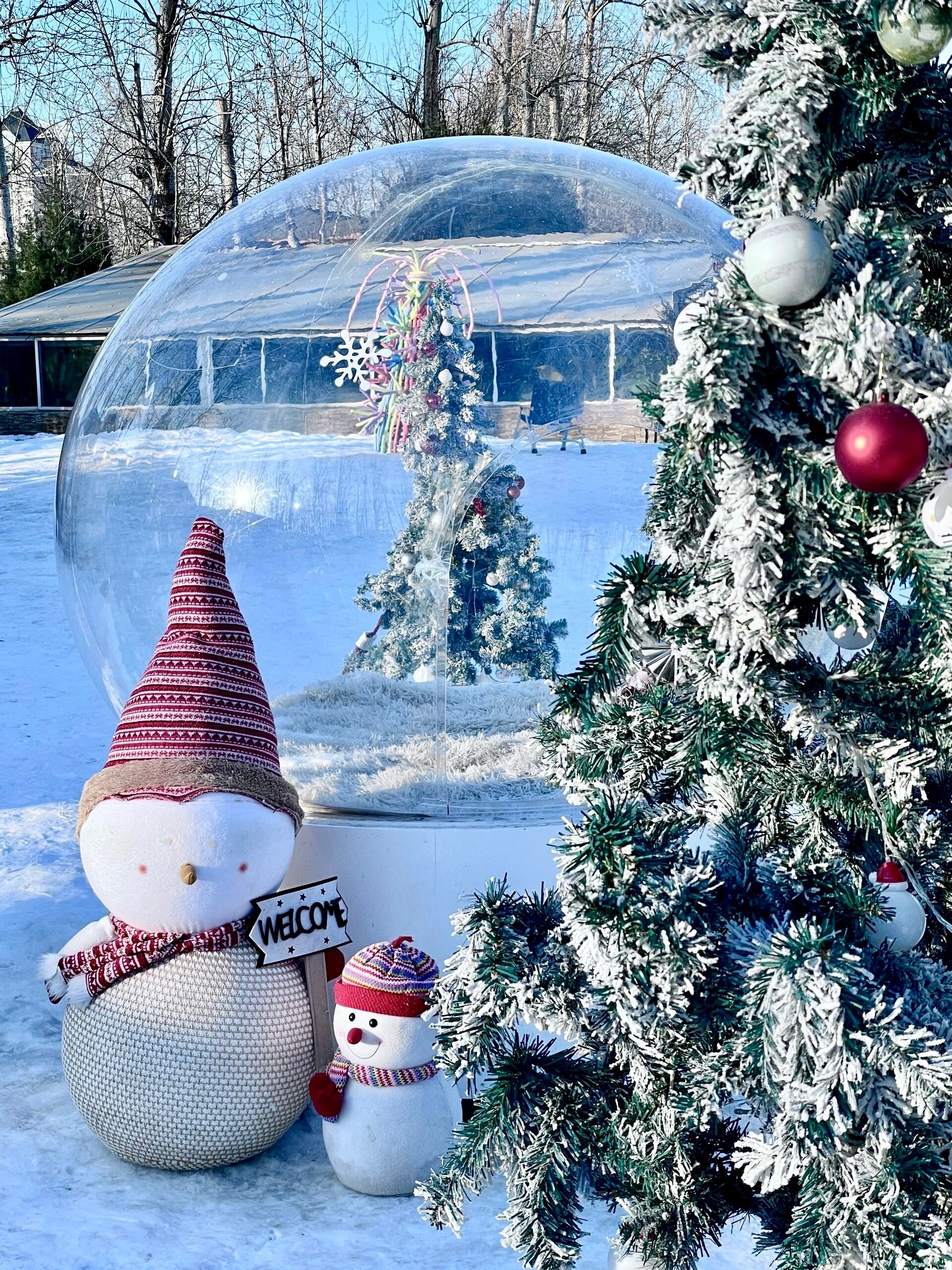 Snowman and Christmas Tree in Winter Wonderland · Free Stock Photo