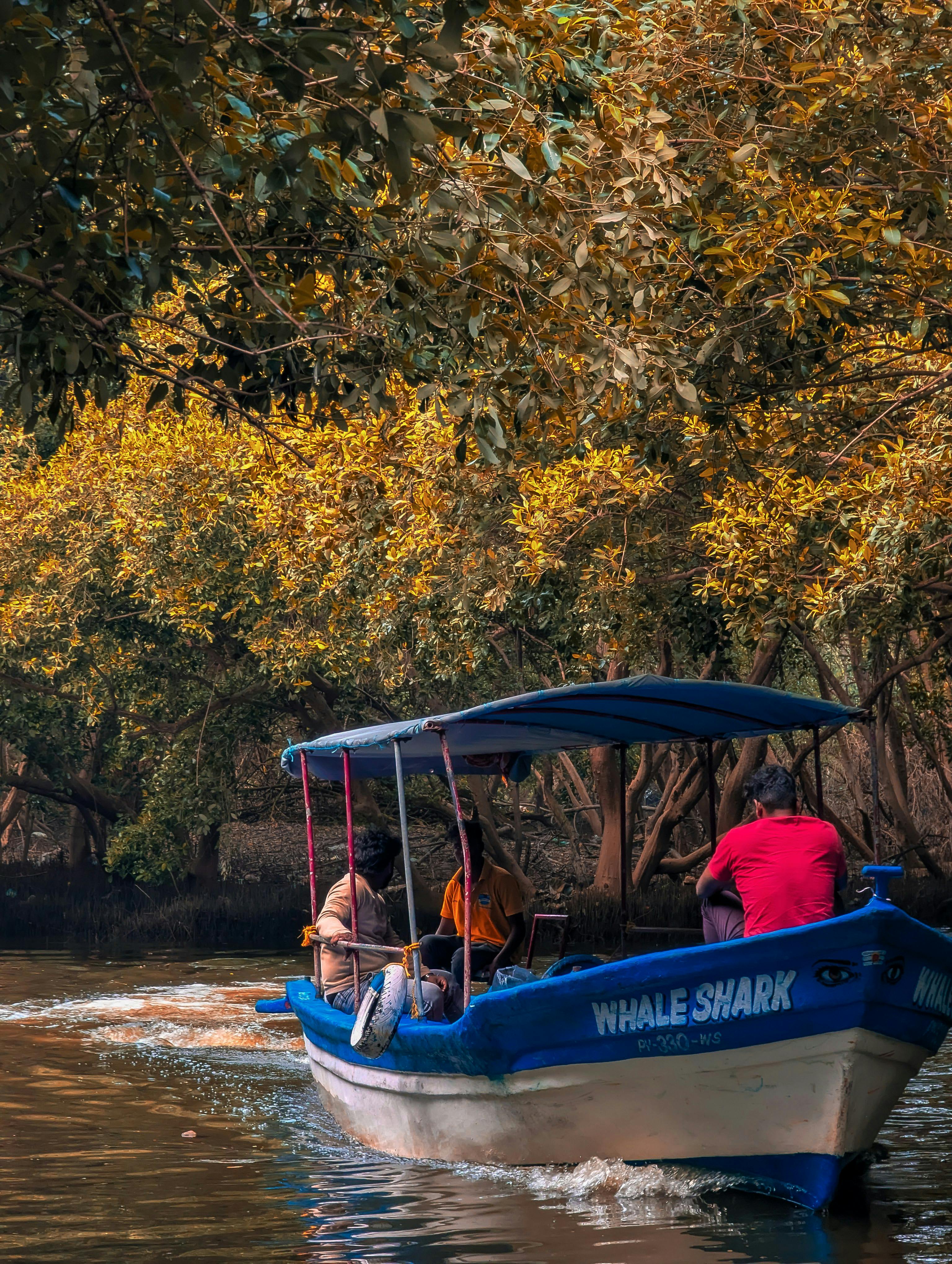 ¿Dónde hacer recorridos en bote por manglares en Nicaragua?