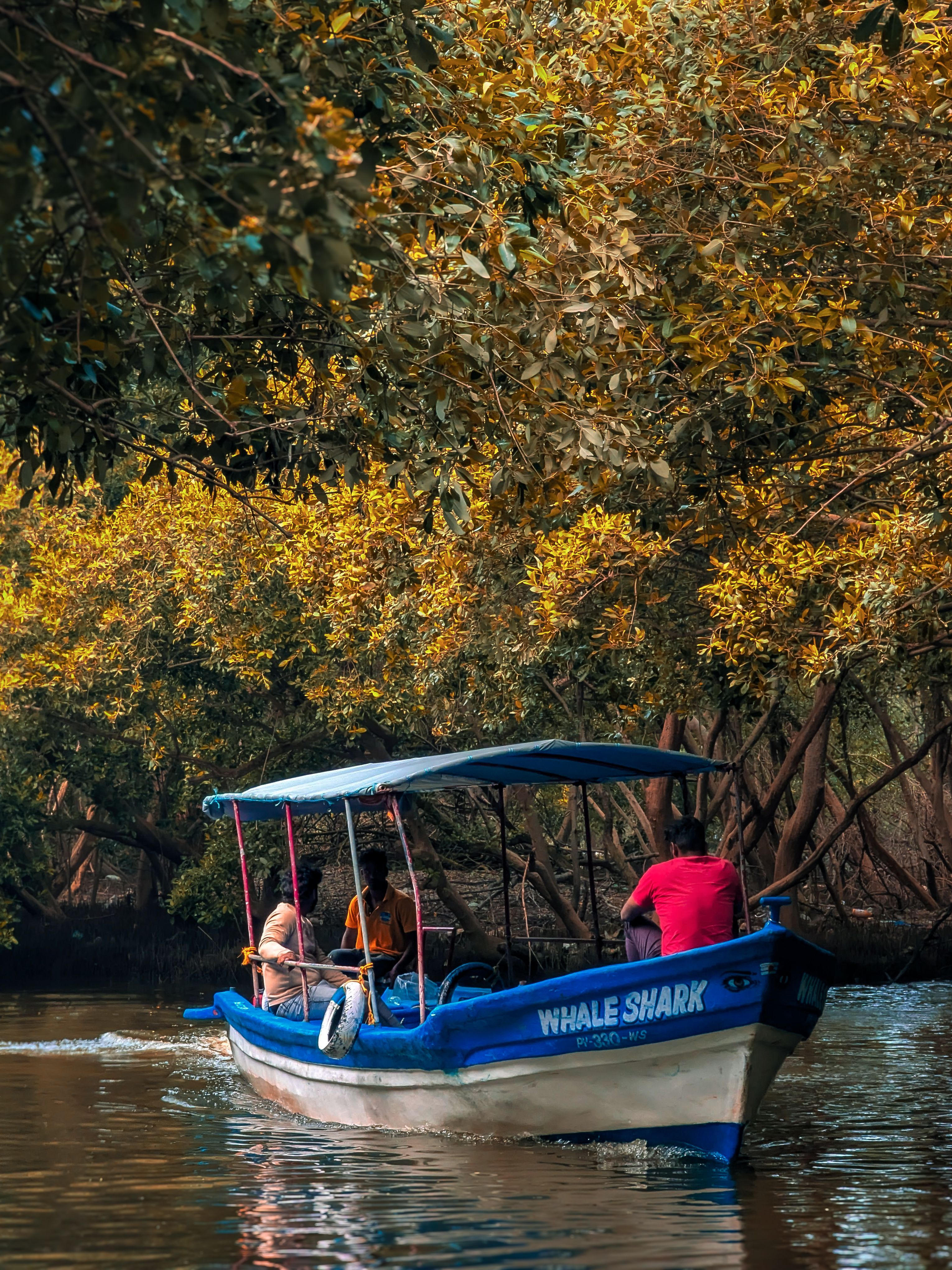 A boat disappearing into a narrow mangrove passage that looks simple until it isn't.