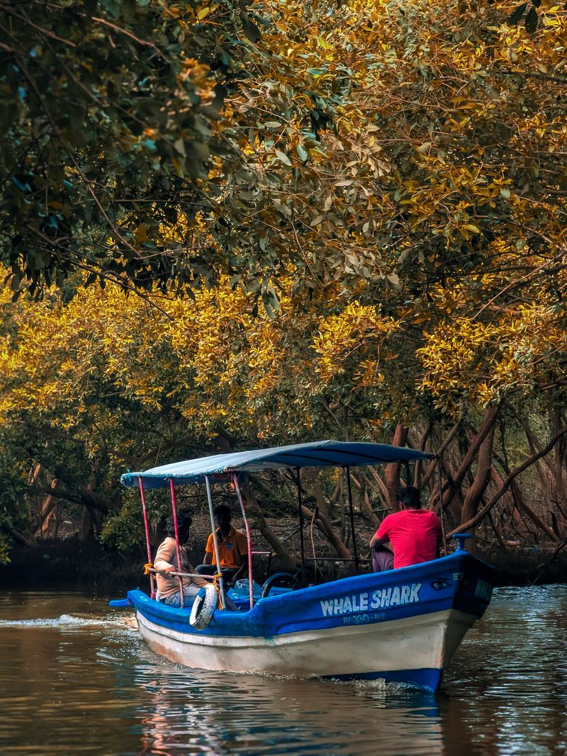 A small boat navigates a serene river passage through lush mangrove trees.