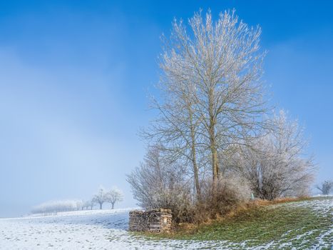 A tranquil winter scene showcasing frosted trees under a clear blue sky.